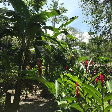 Little Yemanja Bungalow Villa Puerto Viejo de Talamanca Buitenkant foto