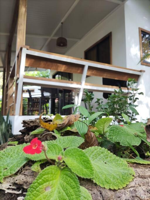 Little Yemanja Bungalow Puerto Viejo de Talamanca Buitenkant foto
