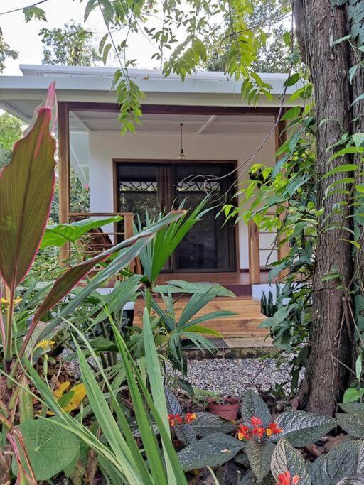 Little Yemanja Bungalow Puerto Viejo de Talamanca Buitenkant foto